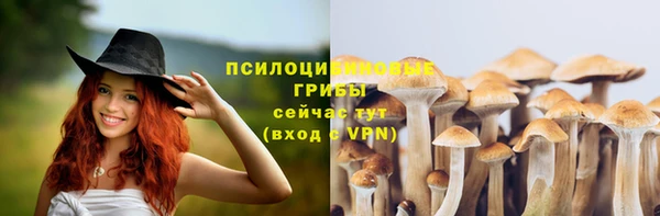 а пвп мука Гусиноозёрск