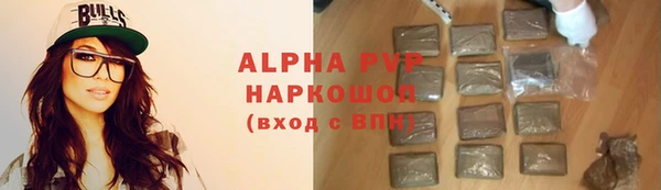 spice Гусев