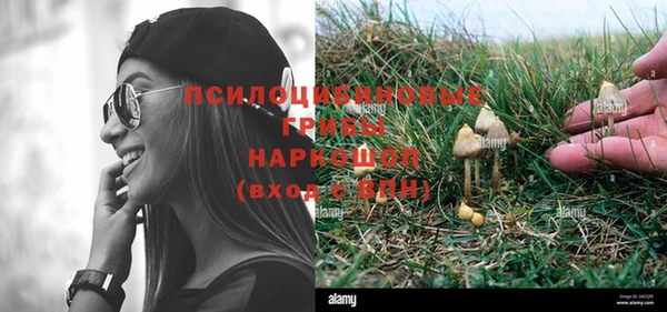 прущие крисы Грязовец
