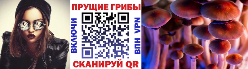 Галлюциногенные грибы мухоморы  Красноперекопск 